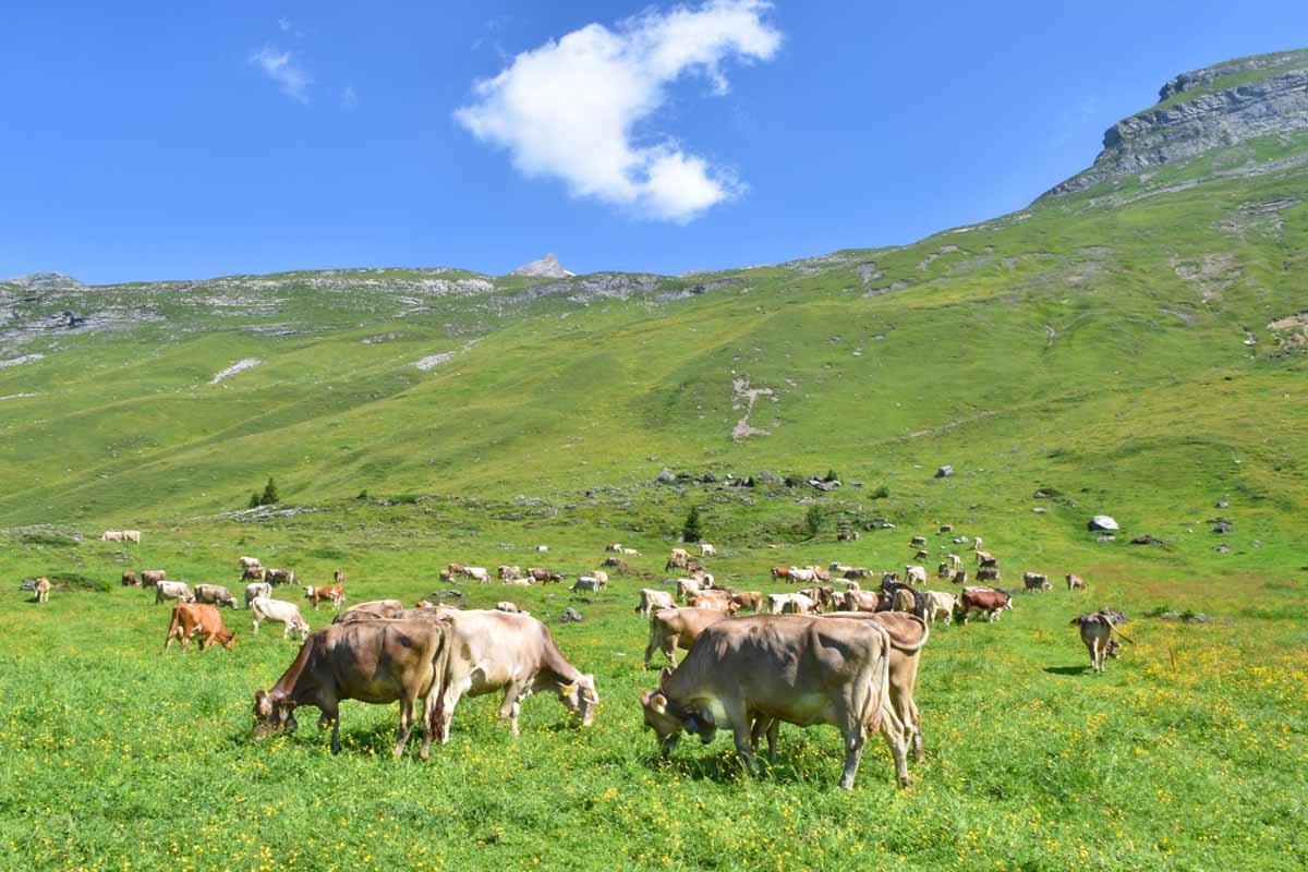 4-Seen-Wanderung mit Übernachtung