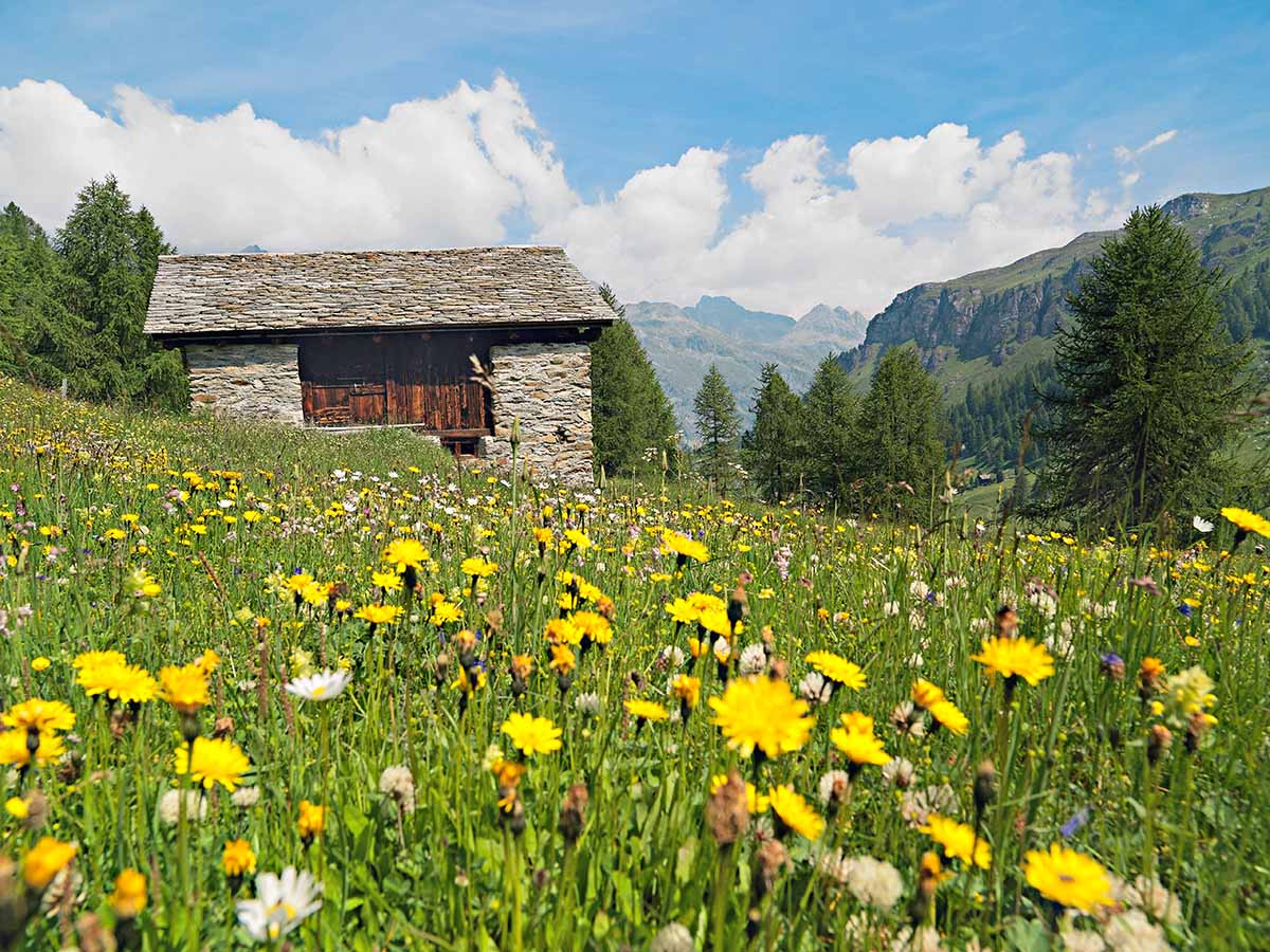 Hotel Fex, Fextal / Val Fex (Sils)