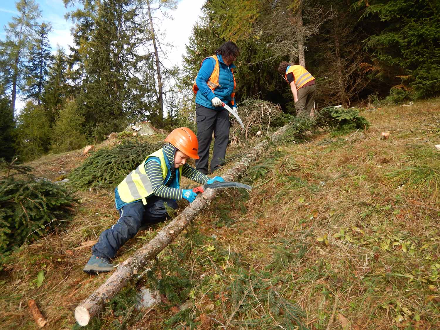 Bergwald Projekt – Das aktuelle Klima setzt dem Bergwald zu. Hitzesommer sind für die Bergwälder ein Stressfaktor. Herbststürme wüten in den Beständen. Die Freiwilligen des Bergwaldprojektes helfen mit, den Bergwald auch in dieser Situation zu pflegen und zu stärken.