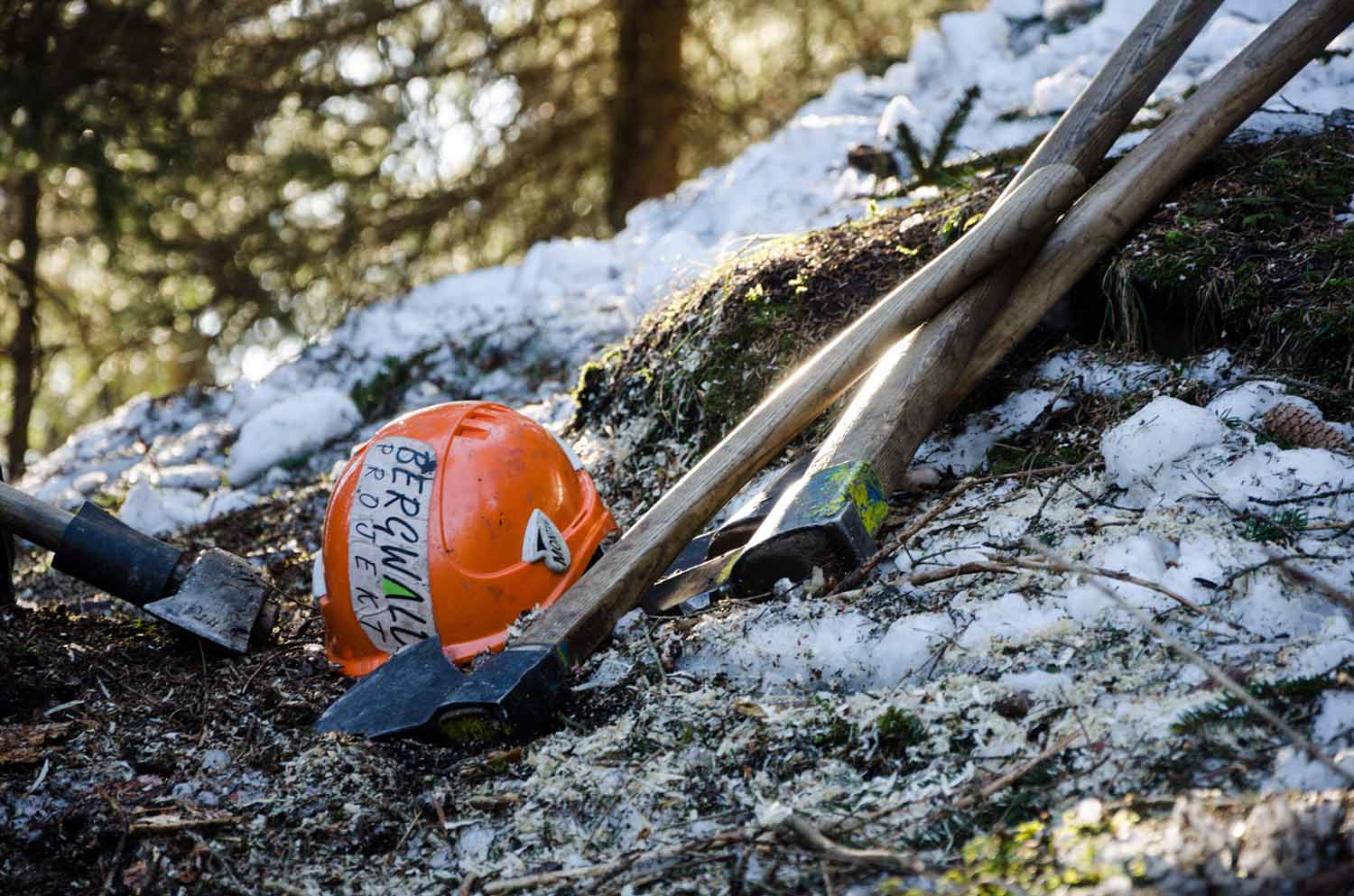 Bergwald Projekt – Das aktuelle Klima setzt dem Bergwald zu. Hitzesommer sind für die Bergwälder ein Stressfaktor. Herbststürme wüten in den Beständen. Die Freiwilligen des Bergwaldprojektes helfen mit, den Bergwald auch in dieser Situation zu pflegen und zu stärken.