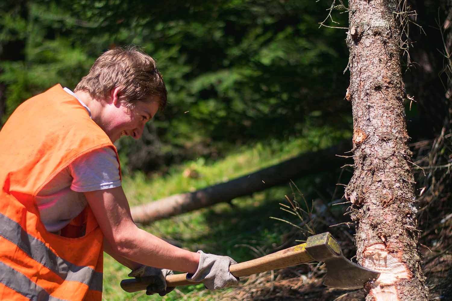 Bergwald Projekt – Das aktuelle Klima setzt dem Bergwald zu. Hitzesommer sind für die Bergwälder ein Stressfaktor. Herbststürme wüten in den Beständen. Die Freiwilligen des Bergwaldprojektes helfen mit, den Bergwald auch in dieser Situation zu pflegen und zu stärken.