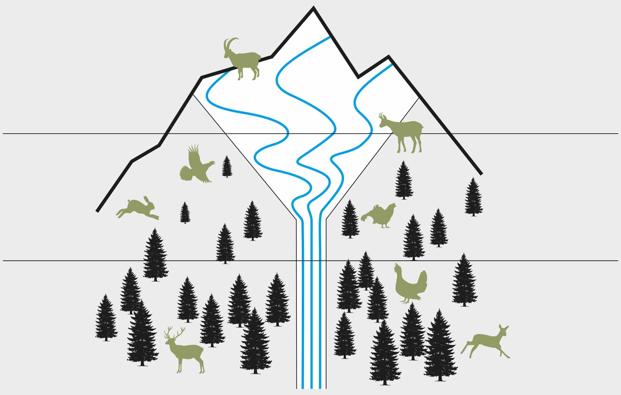 Tierspuren im Schnee – Den Wildtieren auf der Spur im Winter