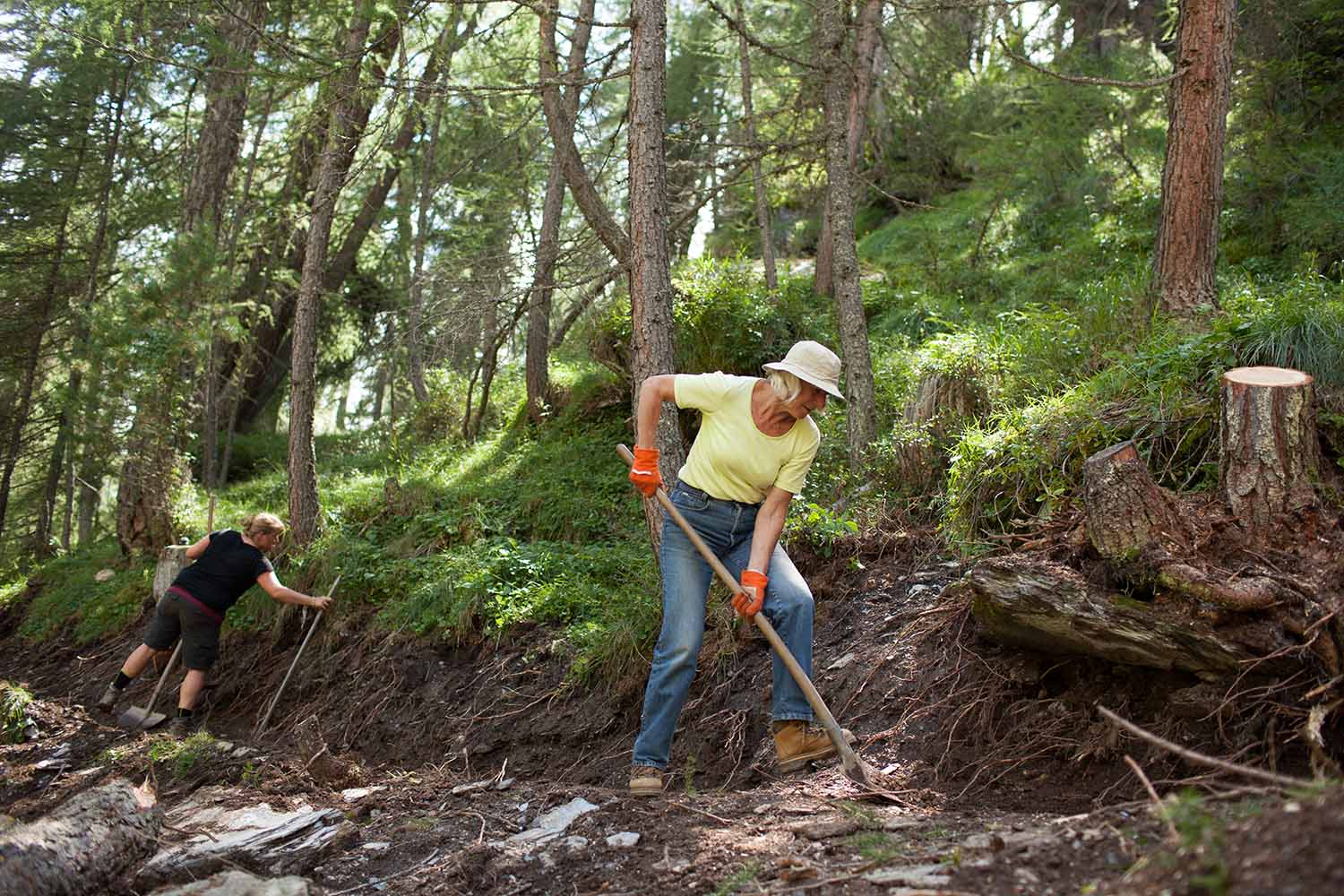 Bergwald Projekt – Das aktuelle Klima setzt dem Bergwald zu. Hitzesommer sind für die Bergwälder ein Stressfaktor. Herbststürme wüten in den Beständen. Die Freiwilligen des Bergwaldprojektes helfen mit, den Bergwald auch in dieser Situation zu pflegen und zu stärken.